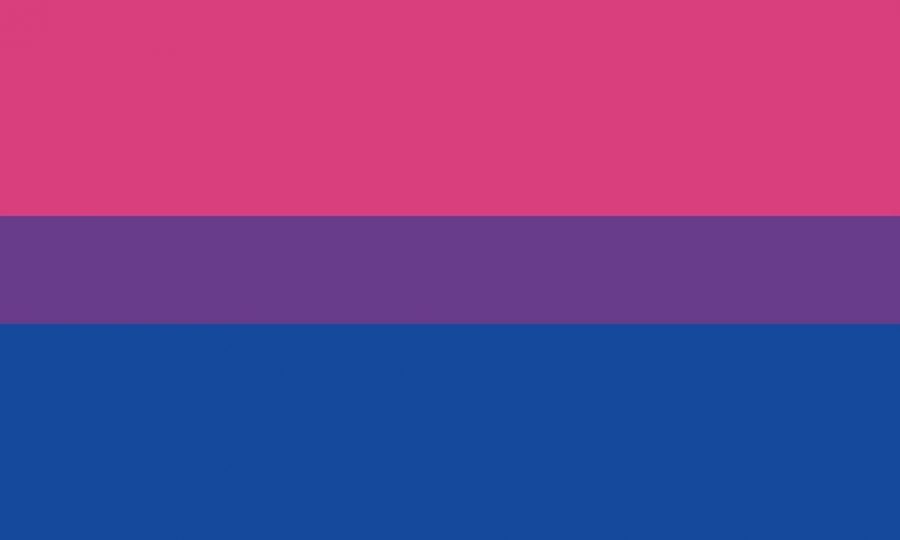 bandera del orgullo bisexual