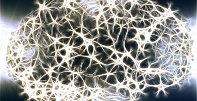 Neuronas motoras
