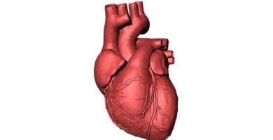 corazón humano