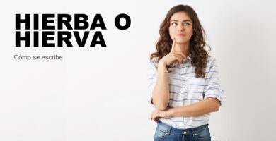 Persona dudando cómo se escribe hierba o hierva
