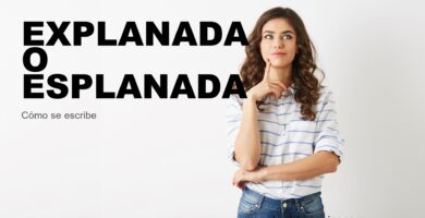 Persona dudando cómo se escribe explanada o esplanada
